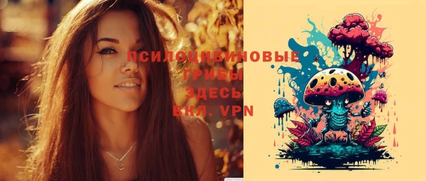 скорость Няндома